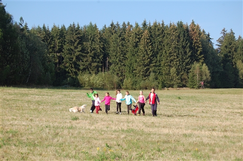 Obrázek v galerii